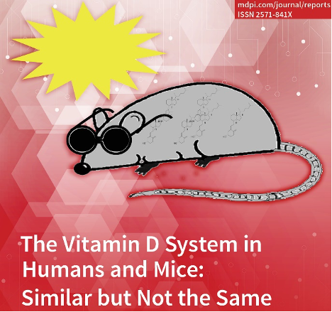 VitD in mice